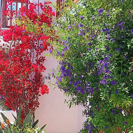 Apartamento Amalthia *