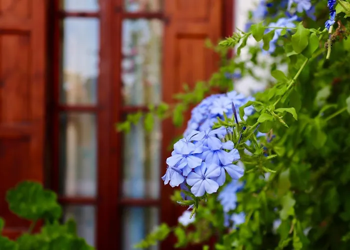 Amalthia Apartment Skiathos Town