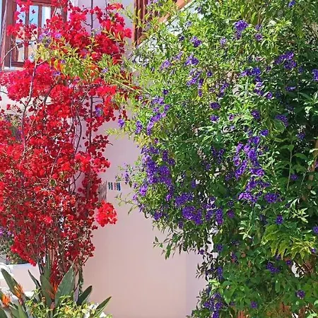 Amalthia * Skiathos