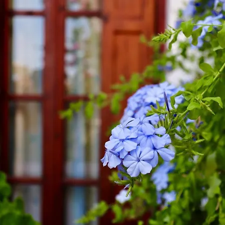 Amalthia Apartmán Skiathos